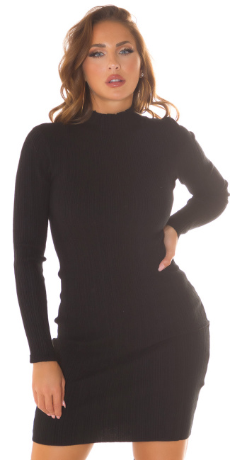 Basic Mini Knit Dress with Turtleneck Black
